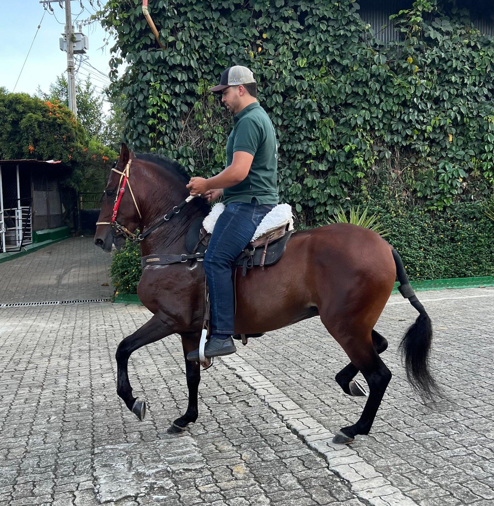 Caballero de la ilusión